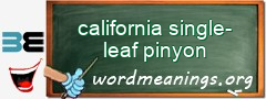 WordMeaning blackboard for california single-leaf pinyon